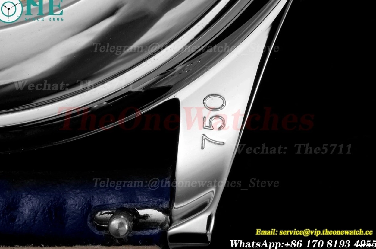 Annual A324 Cal. Moonphase Blue Ref.5396 SS St ZF LE 0310